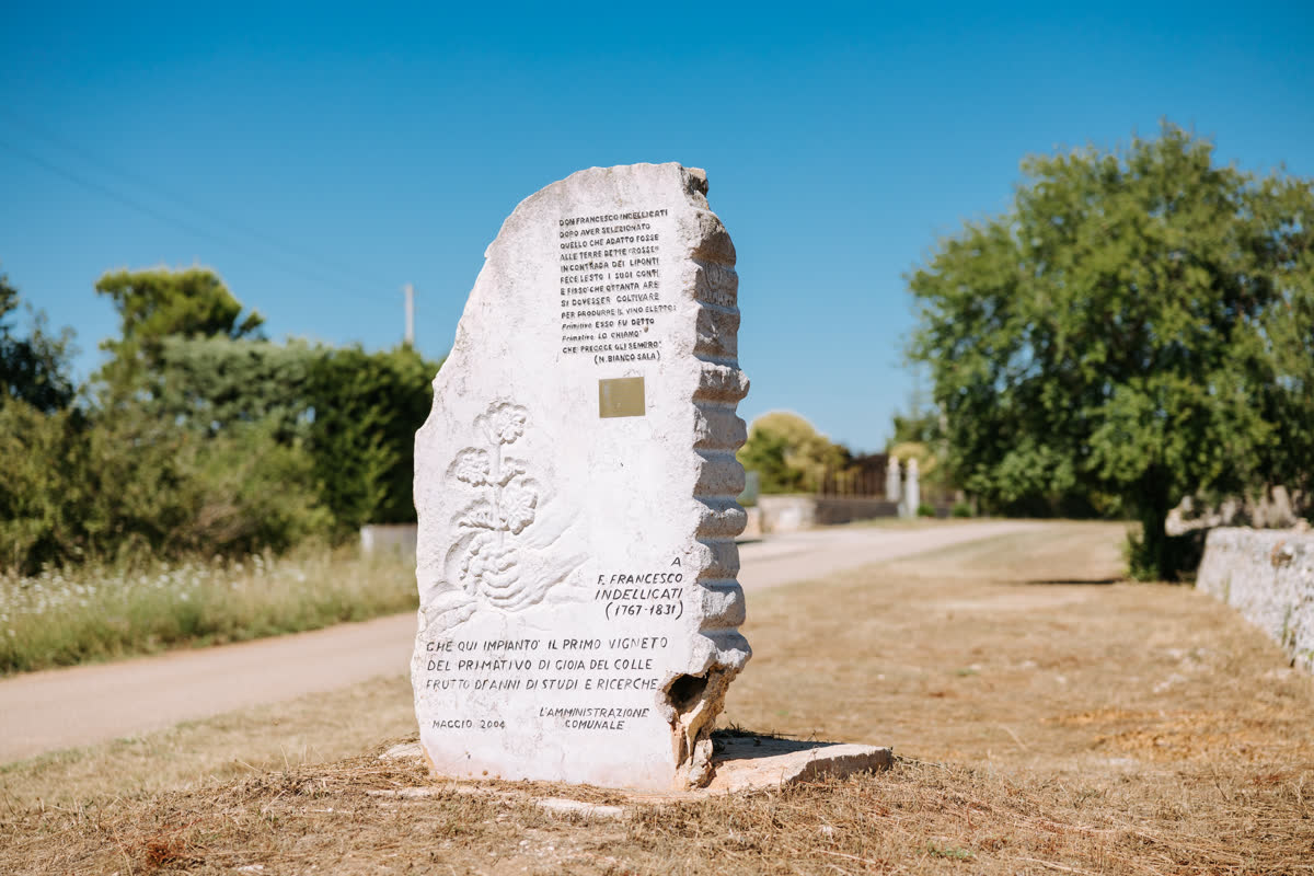 La stele del Primicerio in contrada Liponti